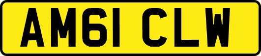 AM61CLW