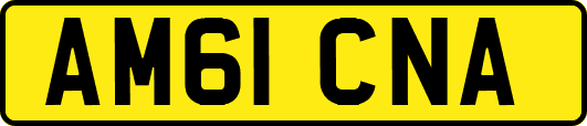 AM61CNA