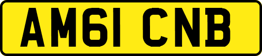 AM61CNB