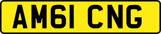 AM61CNG