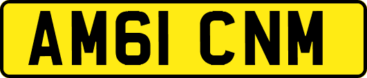 AM61CNM