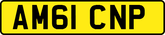 AM61CNP