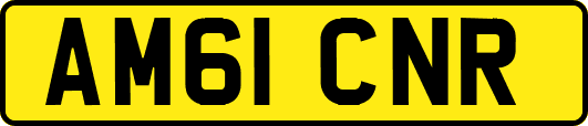 AM61CNR