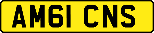 AM61CNS