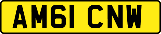 AM61CNW