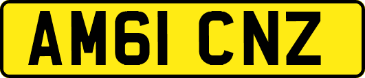 AM61CNZ