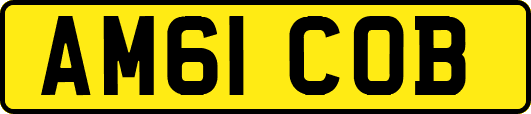 AM61COB