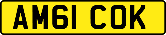 AM61COK