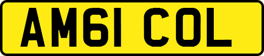 AM61COL