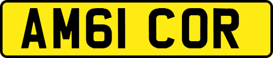 AM61COR