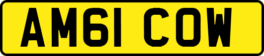 AM61COW