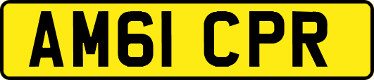 AM61CPR