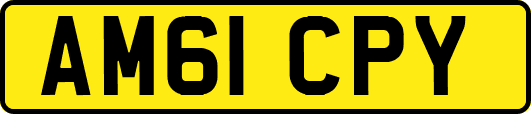 AM61CPY