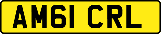 AM61CRL