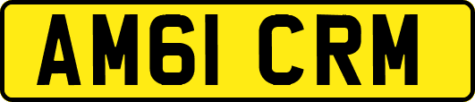 AM61CRM