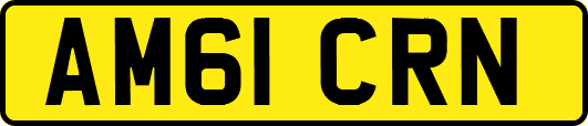 AM61CRN