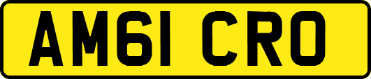 AM61CRO