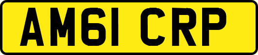 AM61CRP