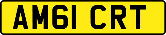 AM61CRT