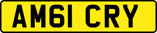 AM61CRY