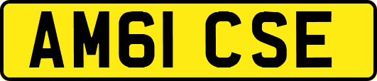 AM61CSE