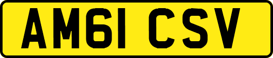 AM61CSV