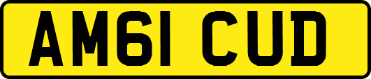 AM61CUD