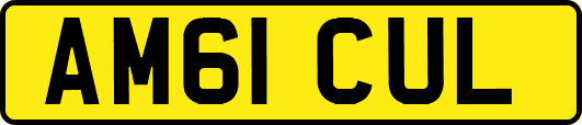AM61CUL