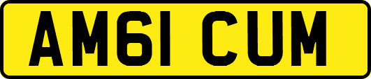 AM61CUM