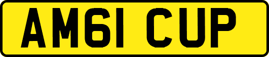 AM61CUP