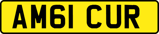 AM61CUR