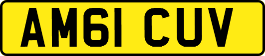 AM61CUV