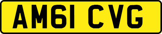 AM61CVG