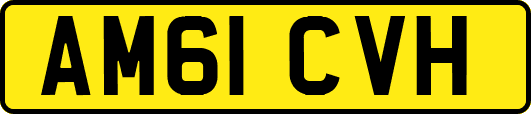 AM61CVH
