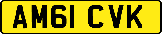 AM61CVK