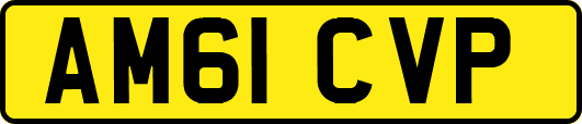 AM61CVP