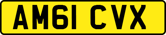 AM61CVX