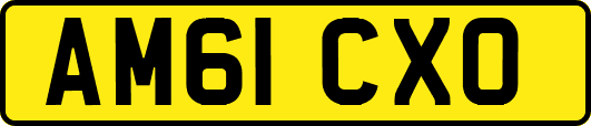AM61CXO