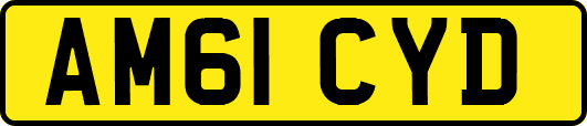 AM61CYD