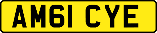 AM61CYE