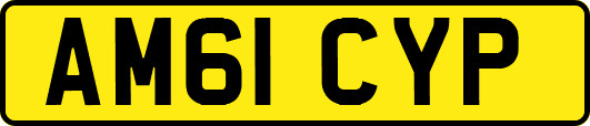 AM61CYP