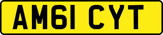 AM61CYT