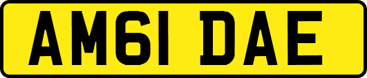 AM61DAE