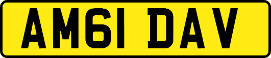 AM61DAV