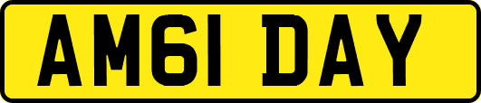 AM61DAY