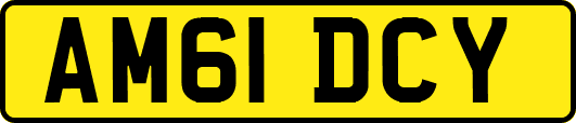 AM61DCY