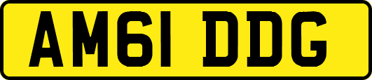 AM61DDG