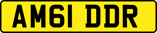 AM61DDR