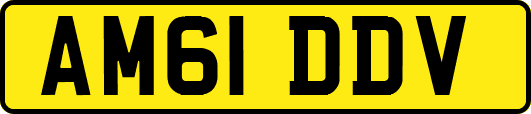 AM61DDV