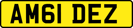 AM61DEZ